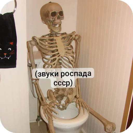 Sticker from the "Господа скелеты" sticker pack