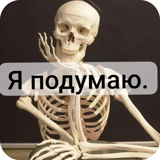 Sticker from the "Господа скелеты" sticker pack