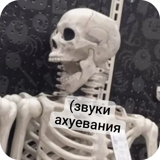 Sticker from the "Господа скелеты" sticker pack