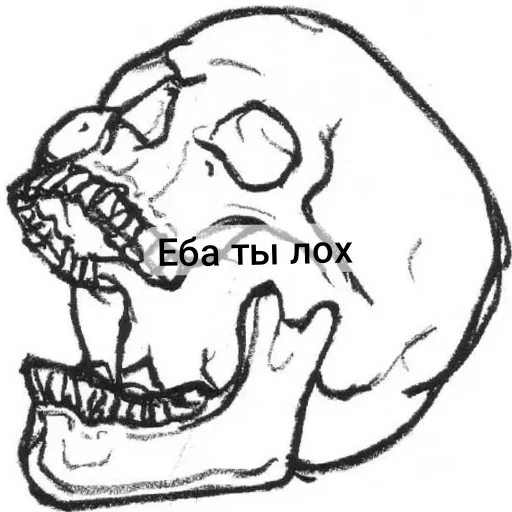 Sticker from the "Господа скелеты" sticker pack