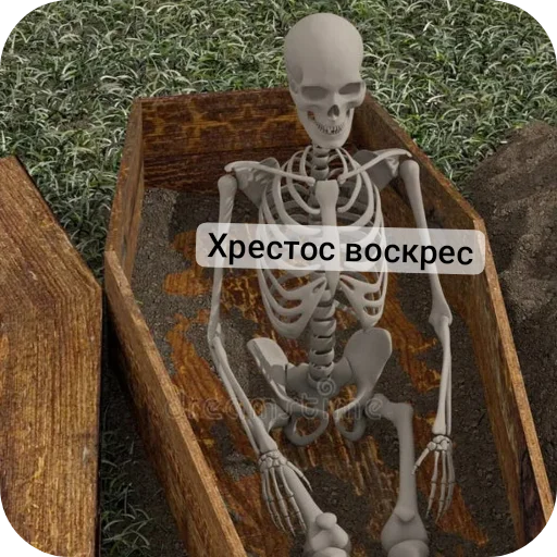 Sticker from the "Господа скелеты" sticker pack