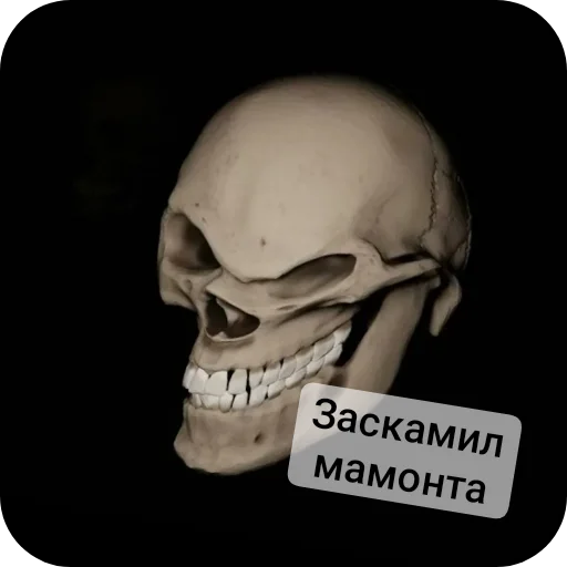 Sticker from the "Господа скелеты" sticker pack