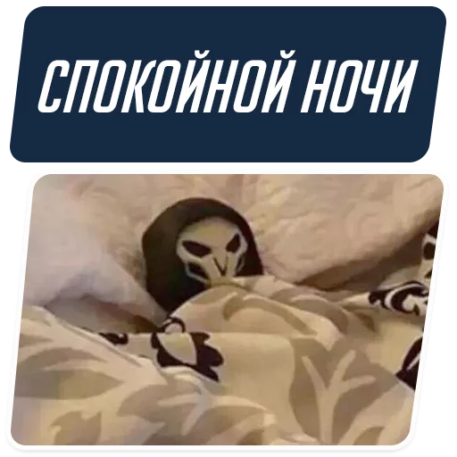 Стикер из набора "Overwatch Memes"