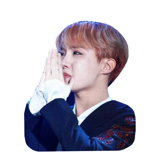 Sticker from the "bts" sticker pack