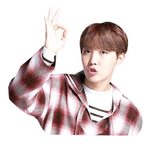 Sticker from the "bts" sticker pack