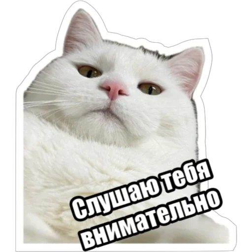 Sticker from the "Экстракт" sticker pack