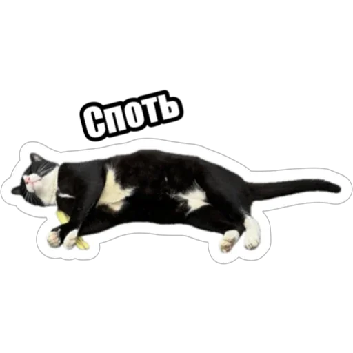 Sticker from the "Экстракт" sticker pack