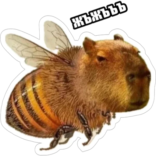 Sticker from the "Экстракт" sticker pack