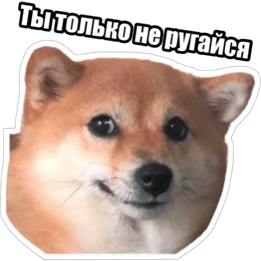 Sticker from the "Экстракт" sticker pack