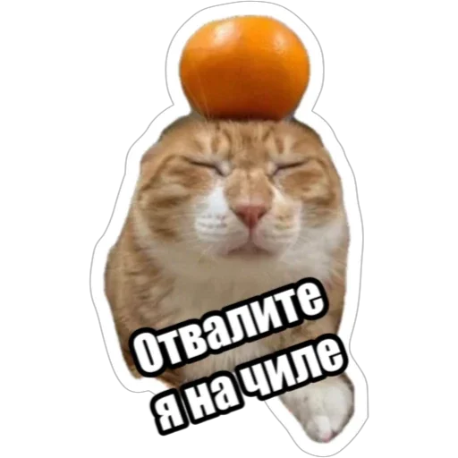 Sticker from the "Экстракт" sticker pack