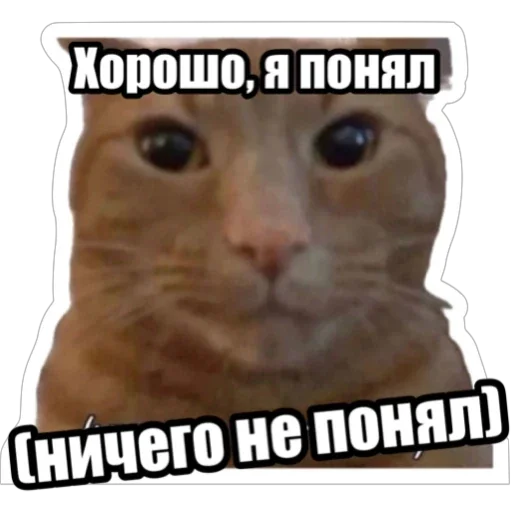 Sticker from the "Экстракт" sticker pack