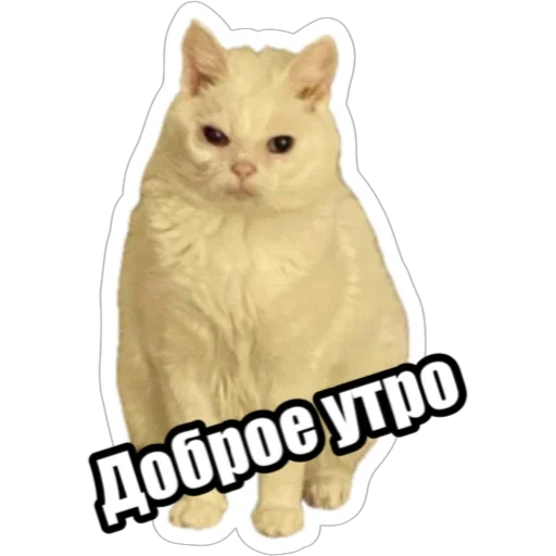 Sticker from the "Экстракт" sticker pack