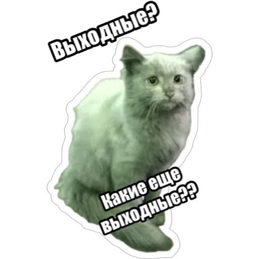 Sticker from the "Экстракт" sticker pack