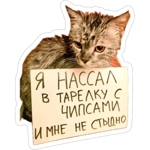 Sticker from the "Экстракт" sticker pack