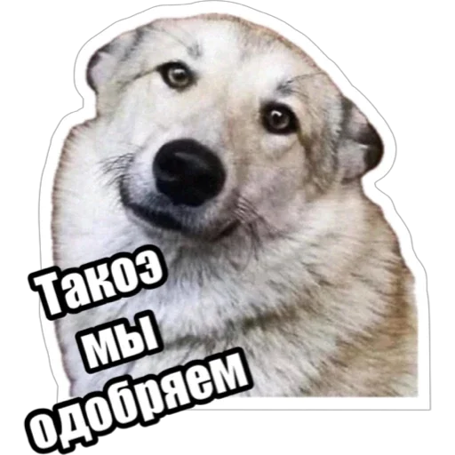 Sticker from the "Экстракт" sticker pack