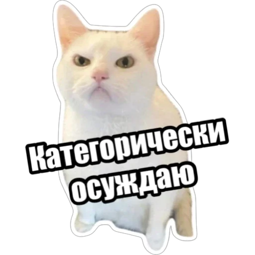 Sticker from the "Экстракт" sticker pack