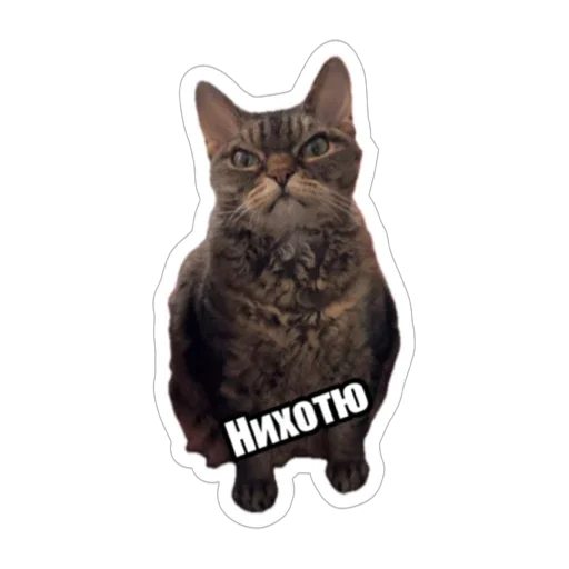 Sticker from the "Экстракт" sticker pack