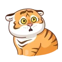 Sticker from the "Grumpy Tiger" sticker pack