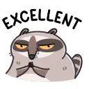 Sticker from the "Racoon" sticker pack