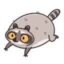 Sticker from the "Racoon" sticker pack