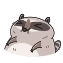 Sticker from the "Racoon" sticker pack