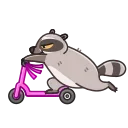 Sticker from the "Racoon" sticker pack