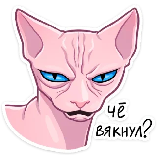 Telegram sticker pack "Рамзес"