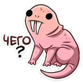 Telegram sticker pack "Голый землекоп"