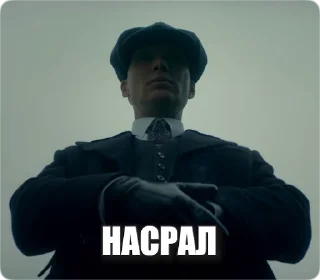 Sticker from the "Peaky Memes / Острые козырьки" sticker pack