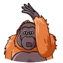 Telegram sticker pack "Orangoutang"