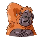 Sticker from the "Orangoutang" sticker pack