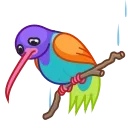 Sticker from the "Brar Animation" sticker pack