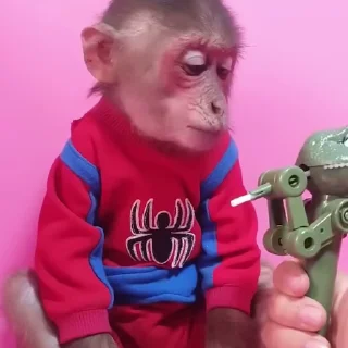 Стикер из набора "Monkeys"