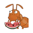 Telegram sticker pack "The ants DNTworry"