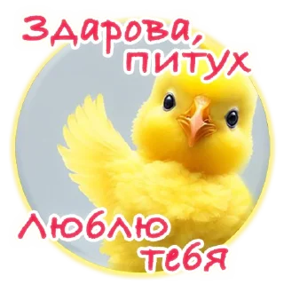 Telegram sticker pack "Crazy Chicken!"