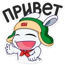 Telegram sticker pack "Кролик Mi Rabbit"