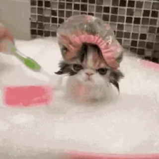 Стикер из набора "🐱🫧🧼🛁"