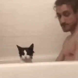 Стикер из набора "🐱🫧🧼🛁"