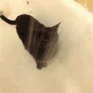 Стикер из набора "🐱🫧🧼🛁"