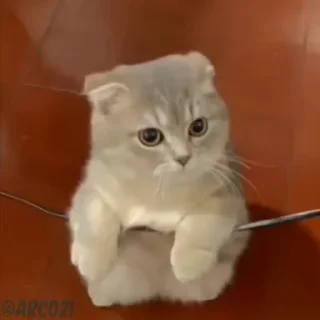 Стикер из набора "👈🏻اینجاکلی استیکر باحاله😻"