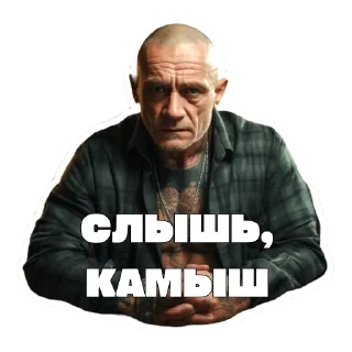 Telegram sticker pack "Леха Беспалый"