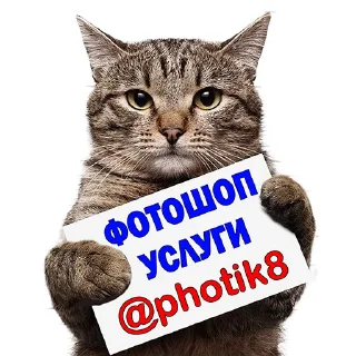 Telegram sticker pack "Котейки"