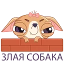 Sticker from the "Чиху" sticker pack