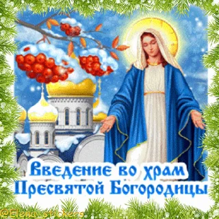 Sticker from the "Праздники декабря" sticker pack