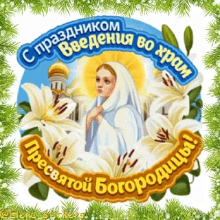 Sticker from the "Праздники декабря" sticker pack