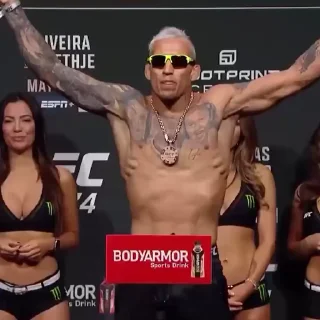 Стикер из набора "UFC"