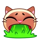 Sticker from the "Meow Emoji" sticker pack