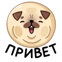 Sticker from the "Мопс Моши" sticker pack