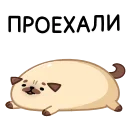 Sticker from the "Мопс Моши" sticker pack