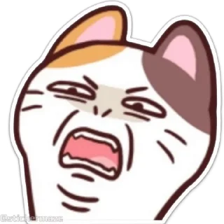 Sticker from the "Meong the Meme Cat" sticker pack